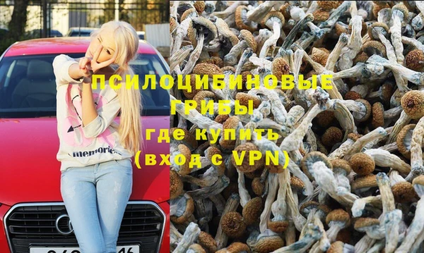 a pvp Алексин