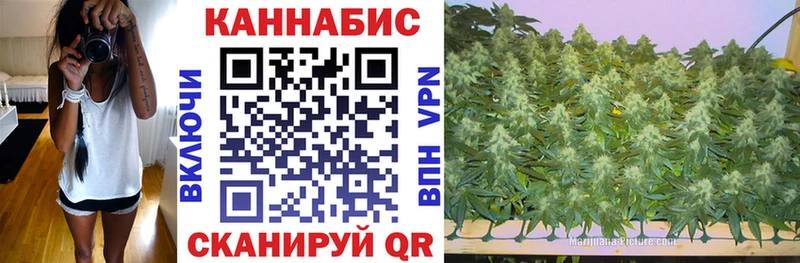Конопля Bruce Banner  Рославль 